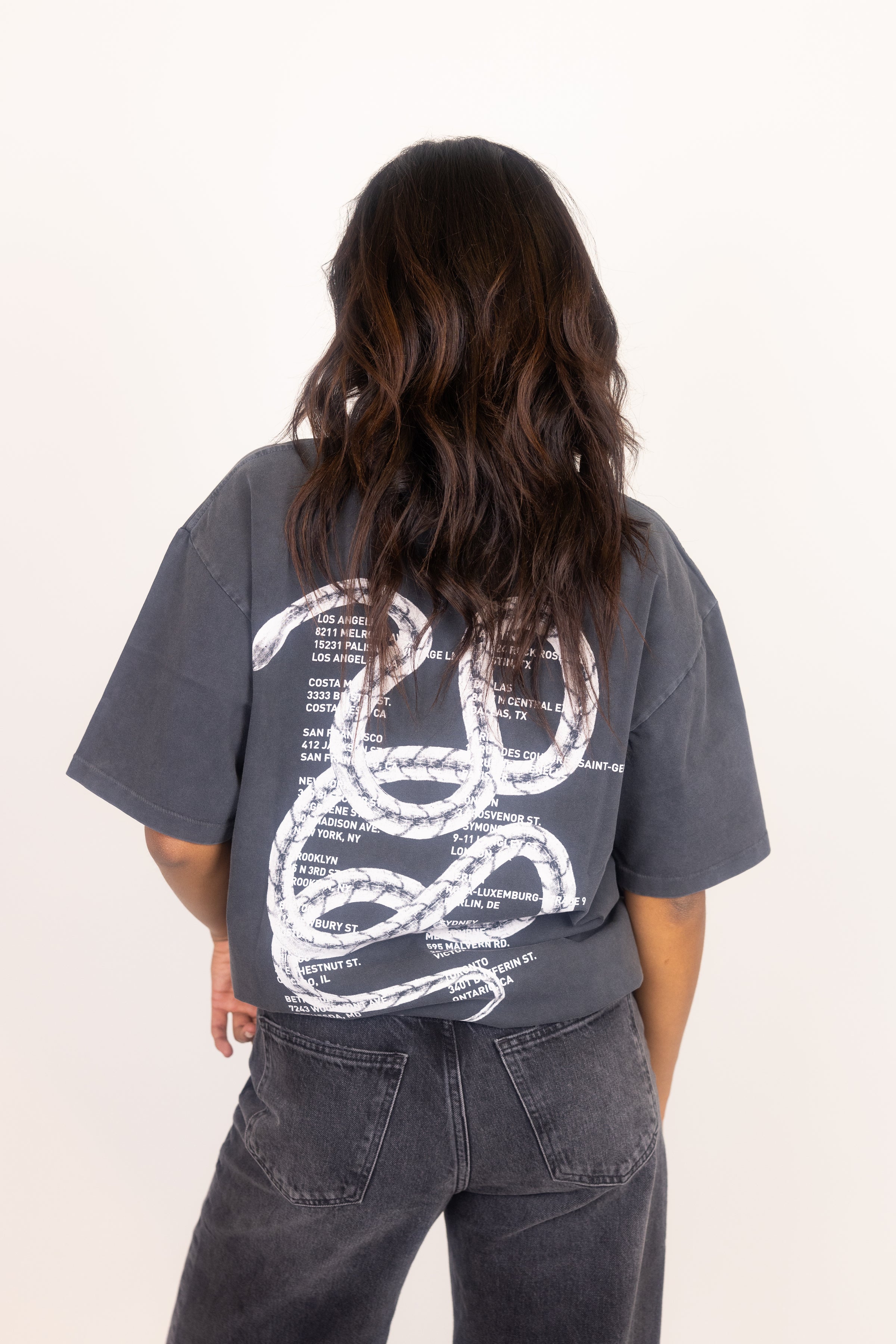 Anine Bing ★ ケント Tシャツ ANINE BING Kent Tee Twisted Snake - Washed Charcoal