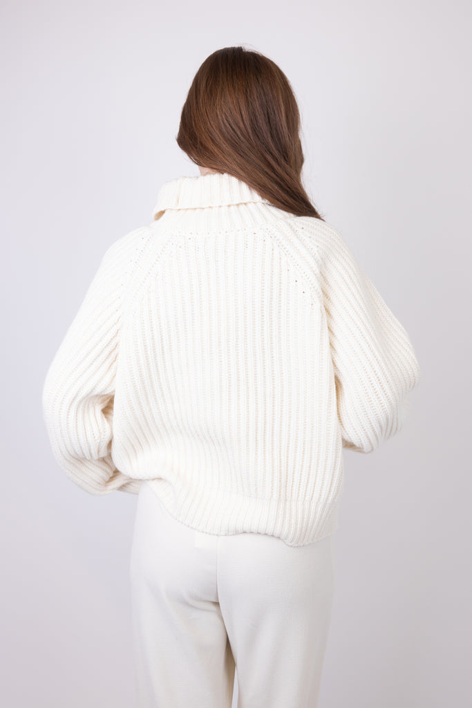 Chunky Turtleneck Sweater