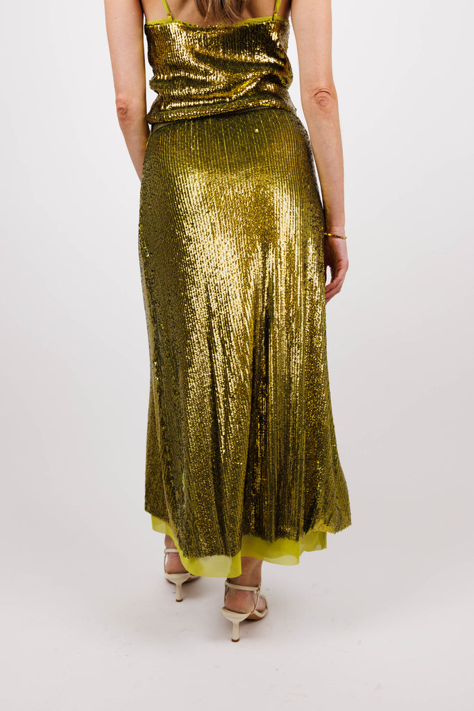 Tiny Dancer Skirt