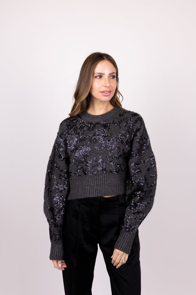 Liza Sequin Sweater