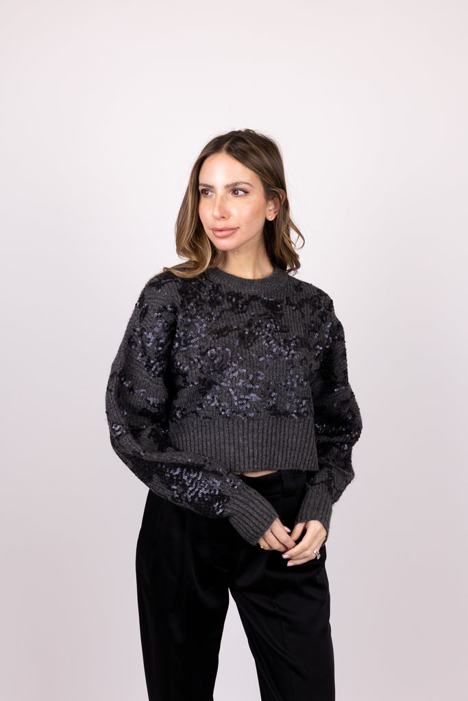 Liza Sequin Sweater